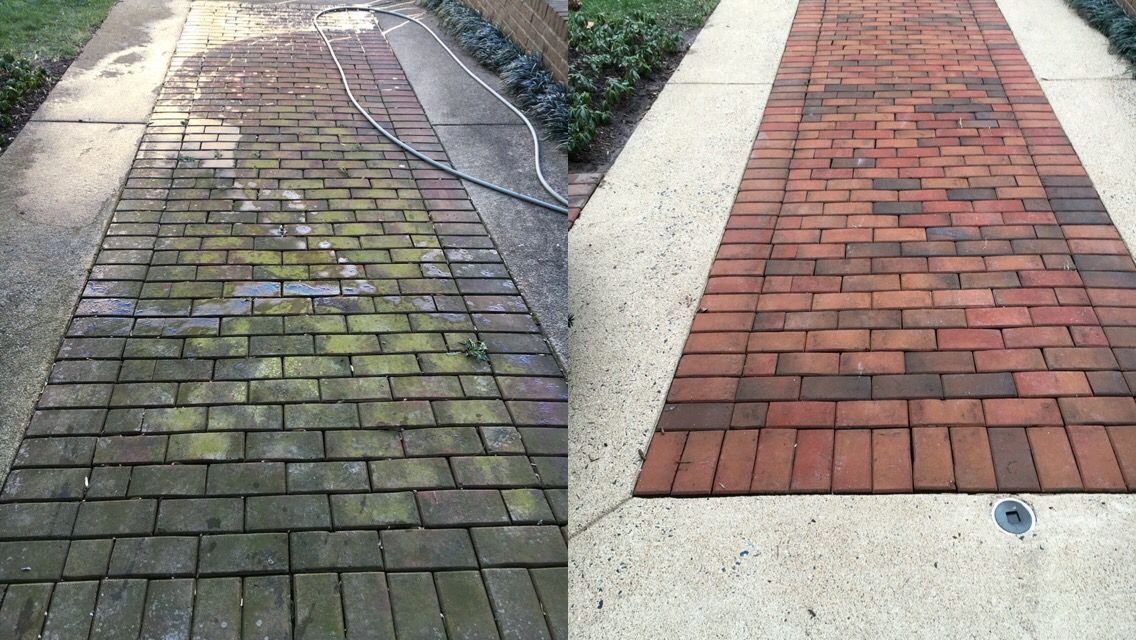 Algae and mold growth on paver bricks