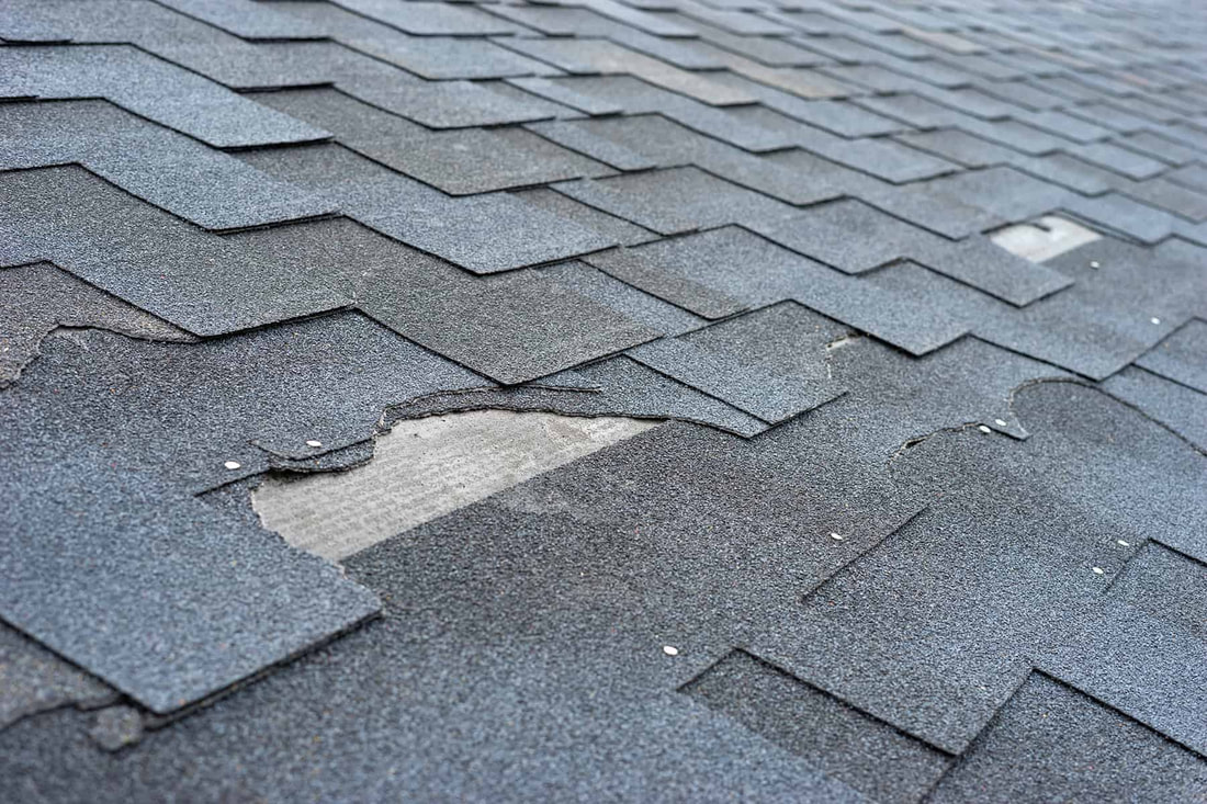 Boca Raton Shingle Tile Roof Cleaning